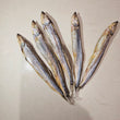 凍乾冰島多春魚 Freeze Dried Capelin Shishamo