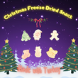 Freeze Dried Christmas Snack